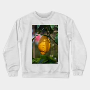 Single lemon in a tree Crewneck Sweatshirt